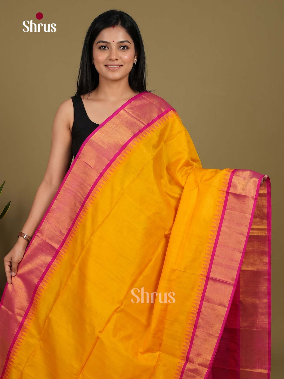 Silk Cotton Saree - EI23008