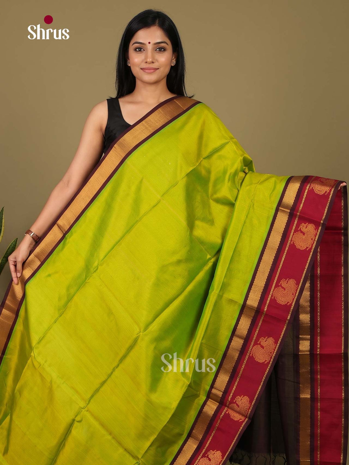 Silk Cotton Saree - EI23010