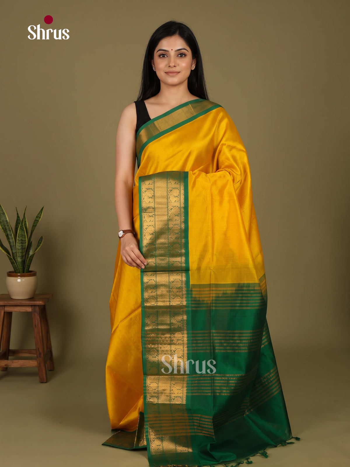 Silk Cotton Saree - EI23012