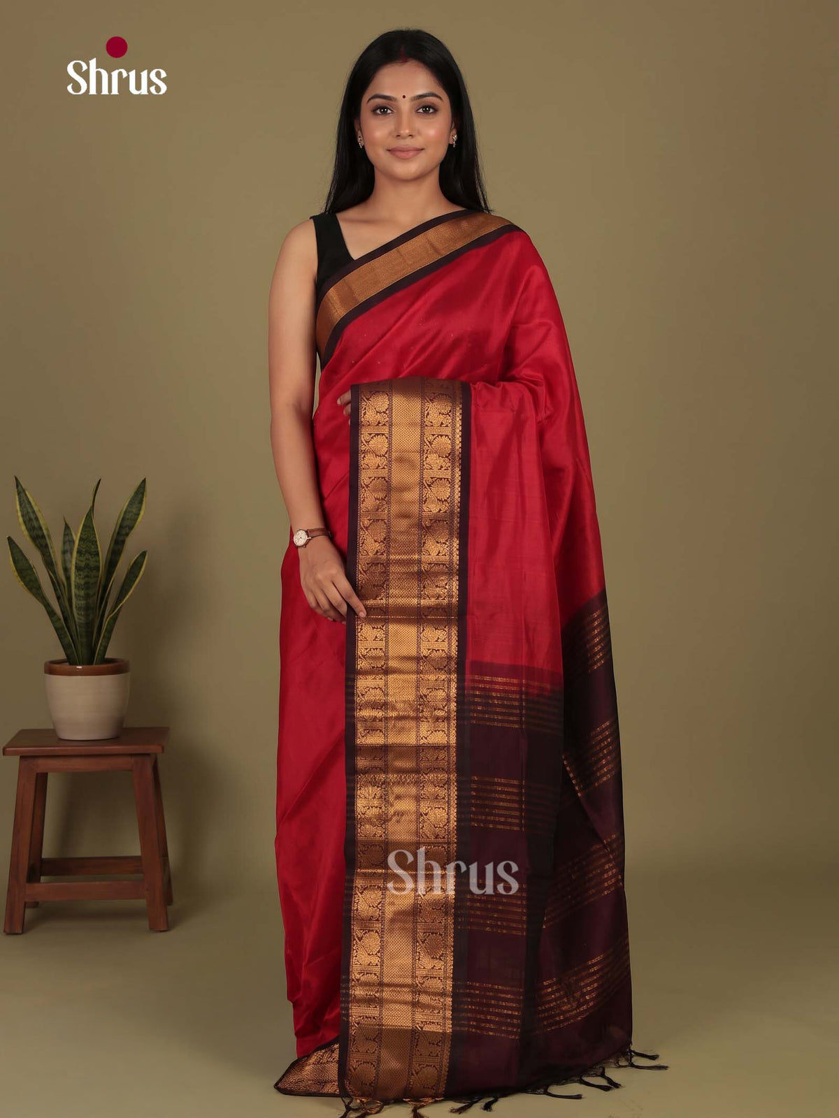 Silk Cotton Saree - EI23015