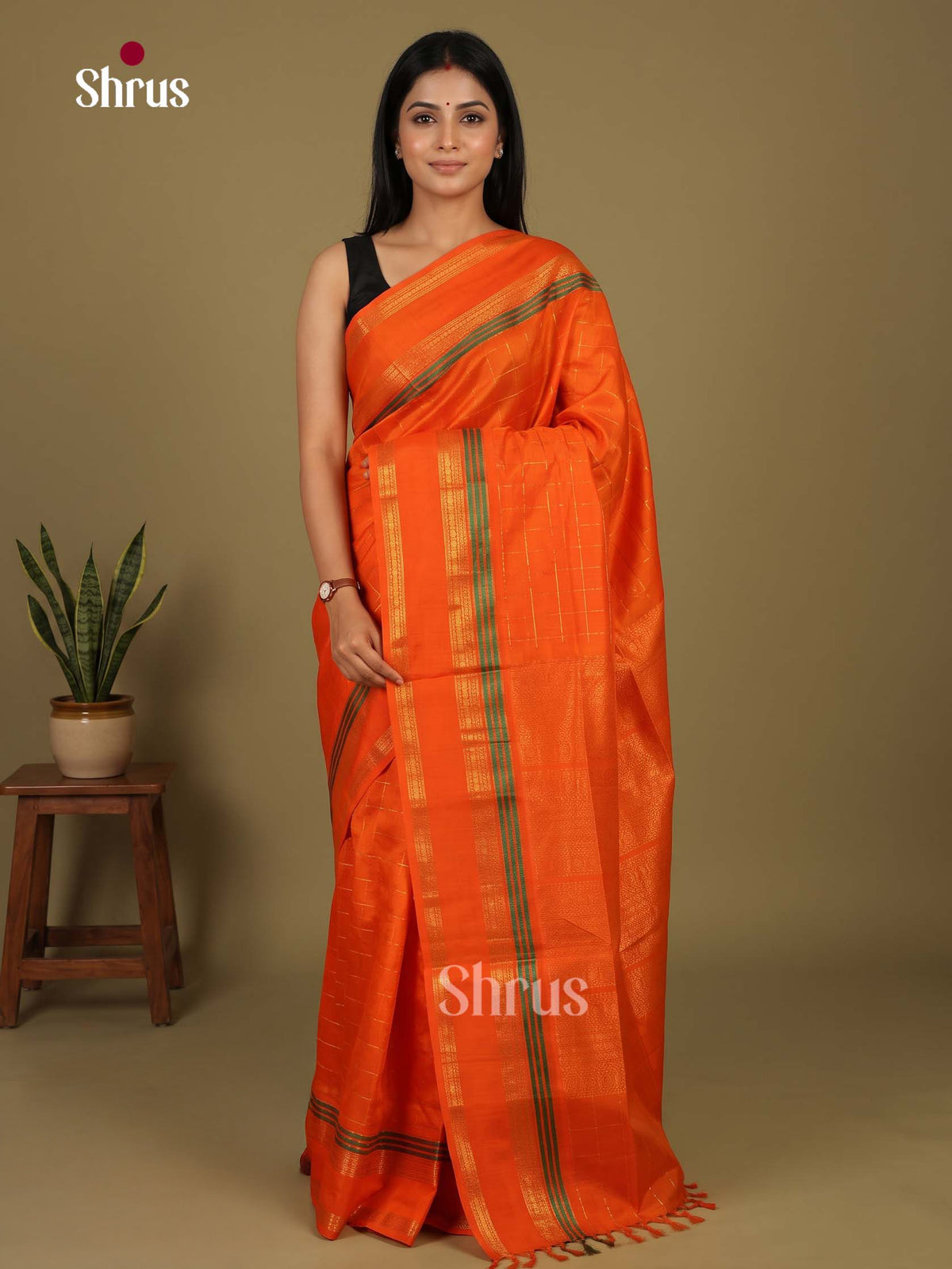 Silk Cotton Saree - EI23020