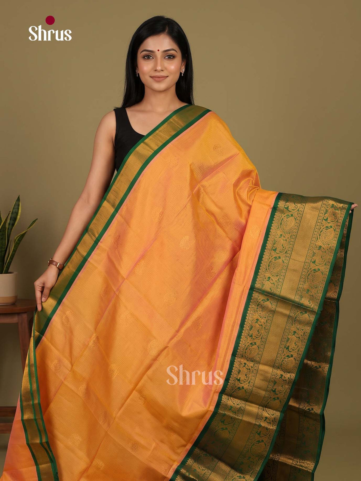 Silk Cotton Saree - EI23021