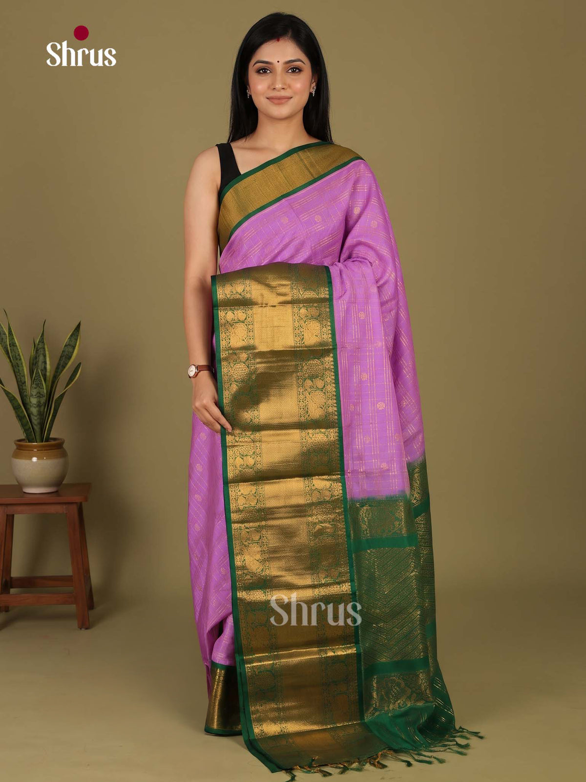 Silk Cotton Saree - EI23022