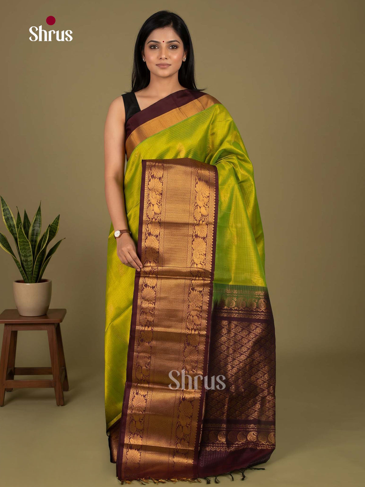 Silk Cotton Saree - EI23024