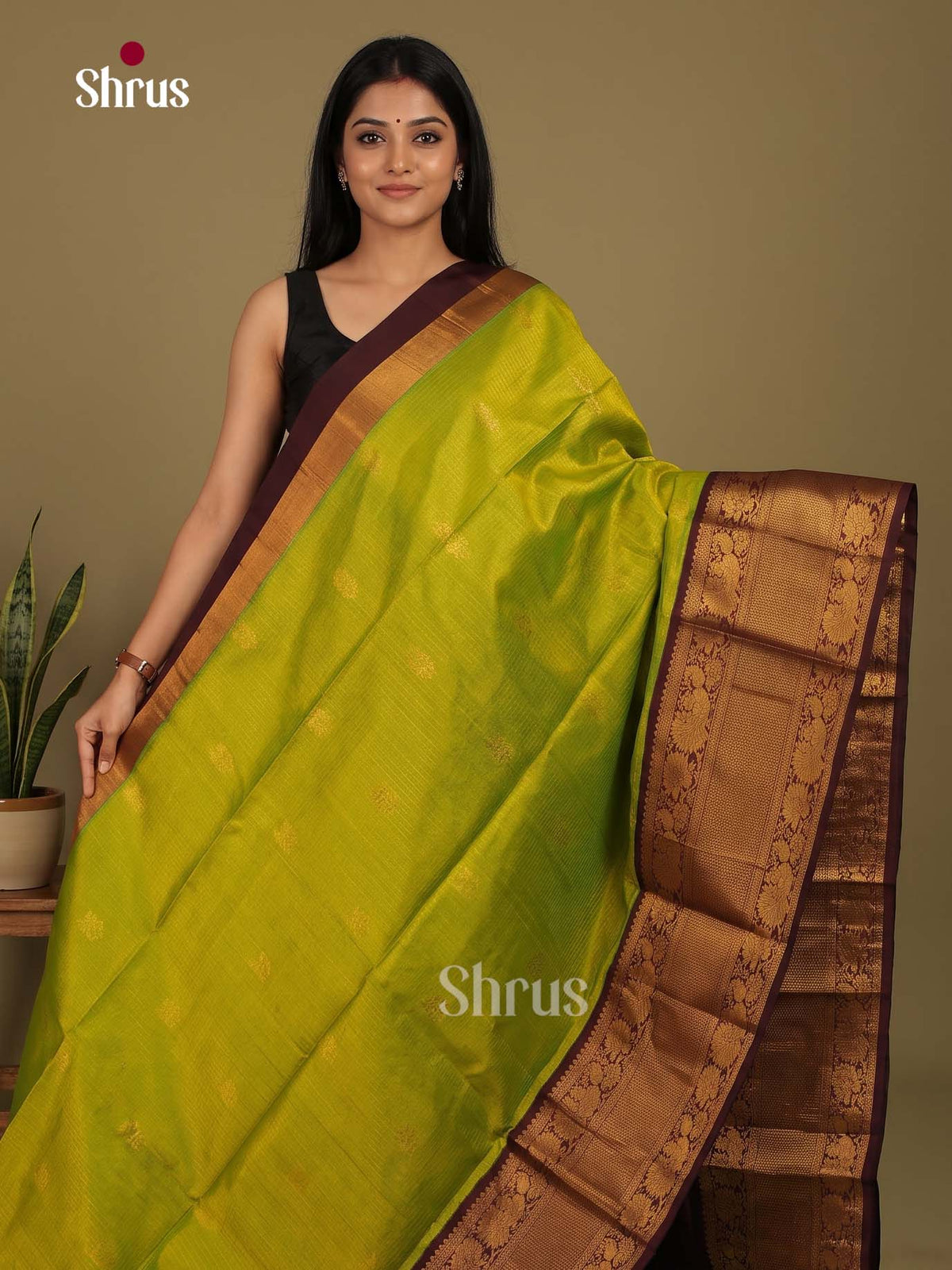 Silk Cotton Saree - EI23024