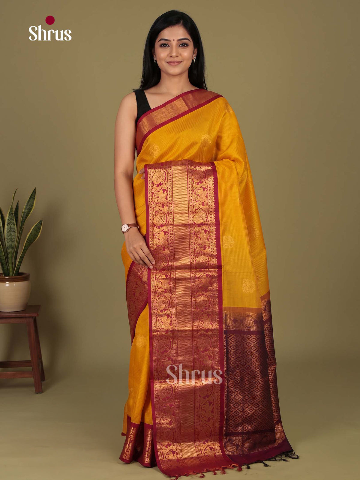 Silk Cotton Saree - EI23028