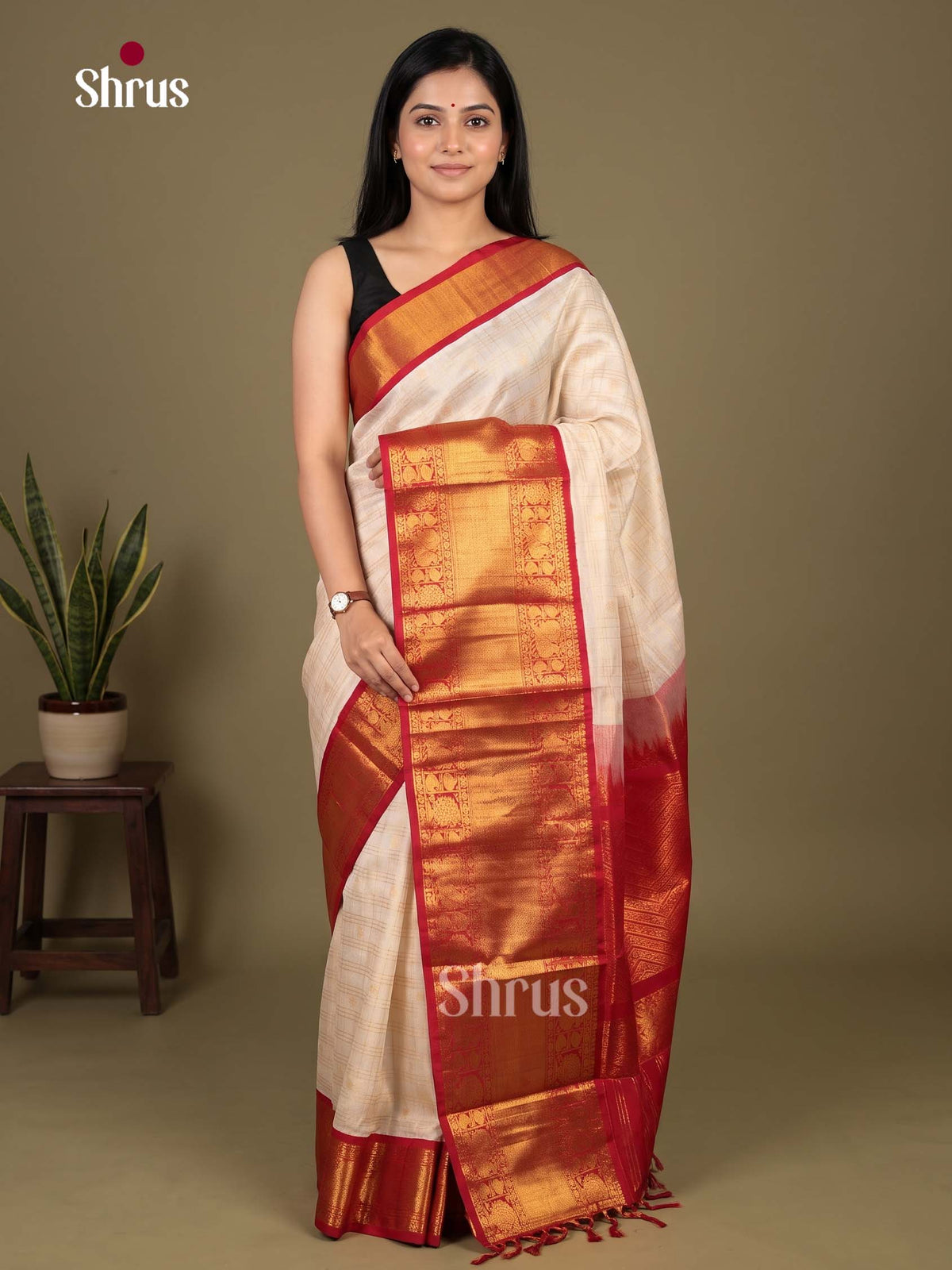 Silk Cotton Saree - EI23030
