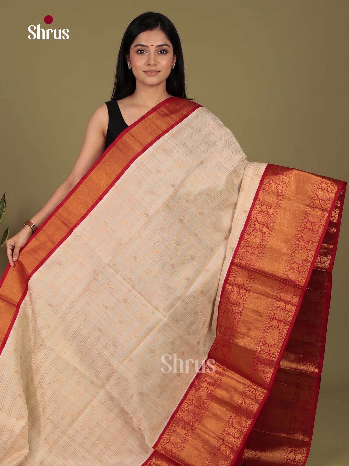 Silk Cotton Saree - EI23030