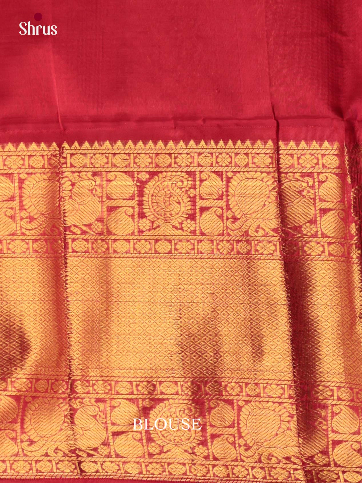 Silk Cotton Saree - EI23030