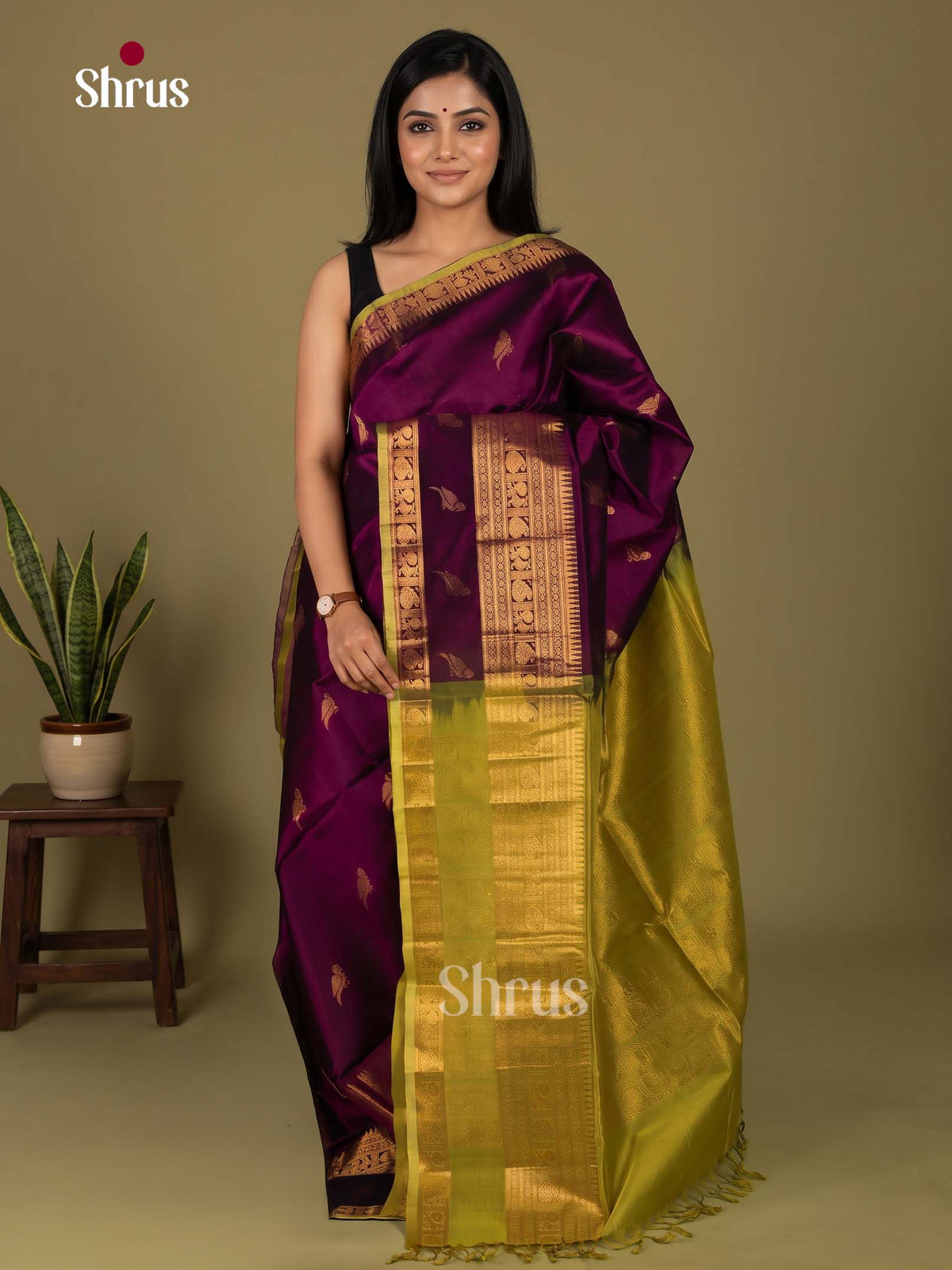 Silk Cotton Saree - EI23033