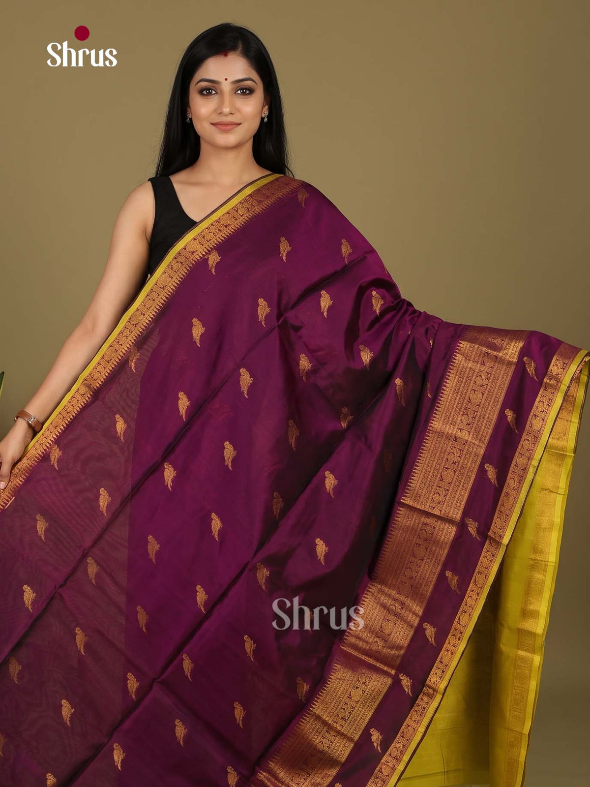 Silk Cotton Saree - EI23033