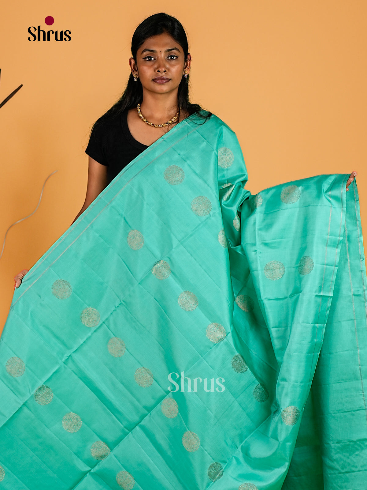Soft Silk Saree - EI23088