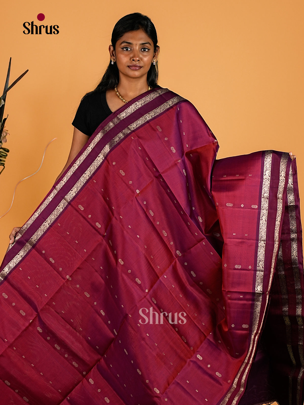 Soft Silk Saree - EI23116