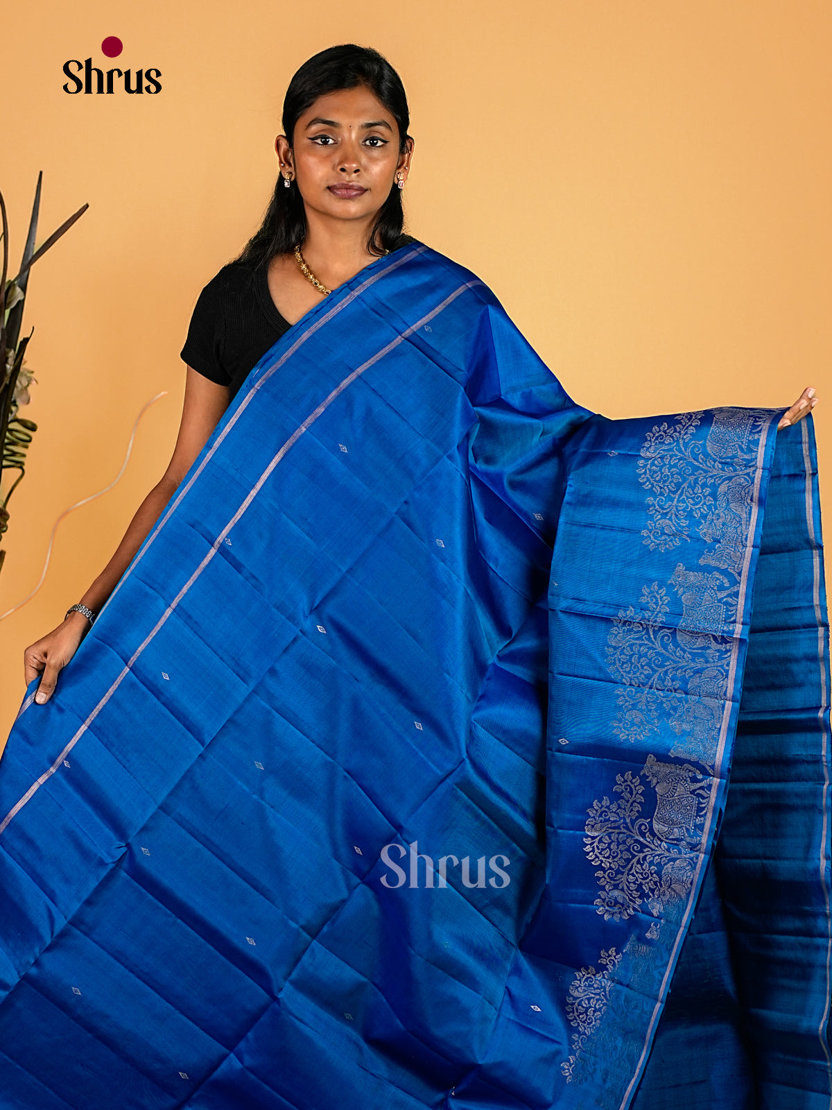 Soft Silk Saree - EI23152