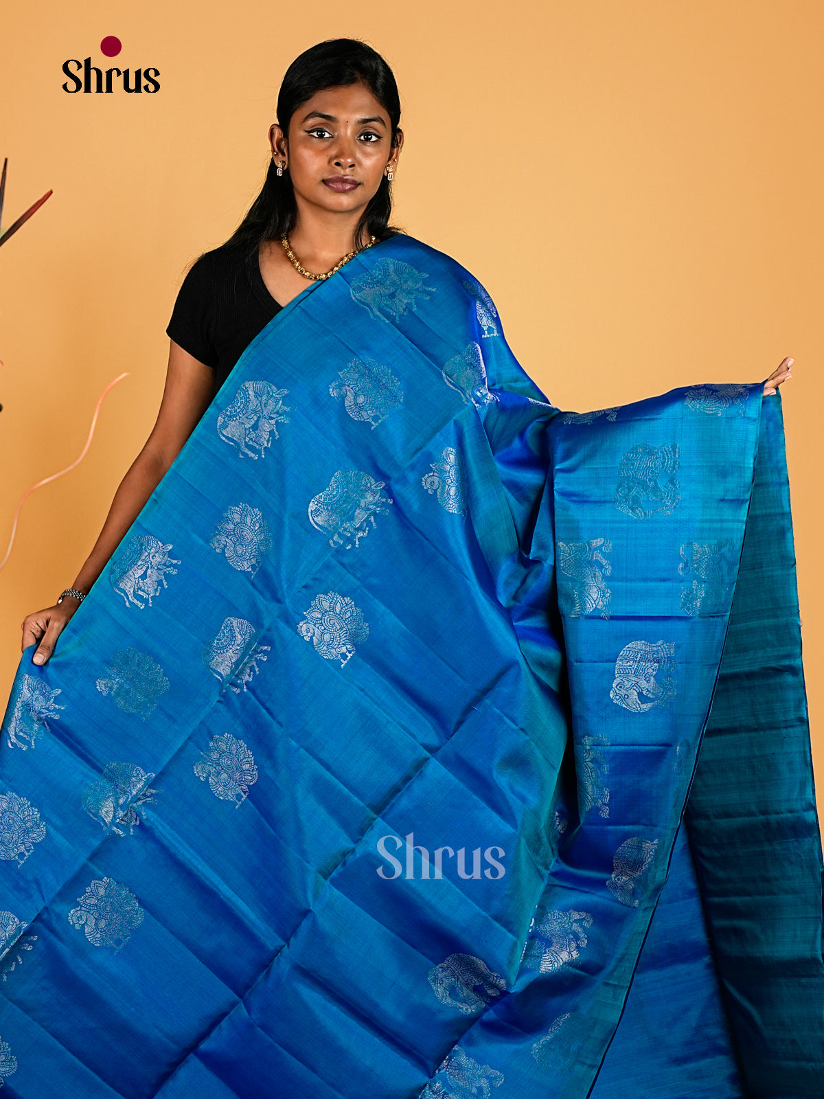 Soft Silk Saree - EI23164