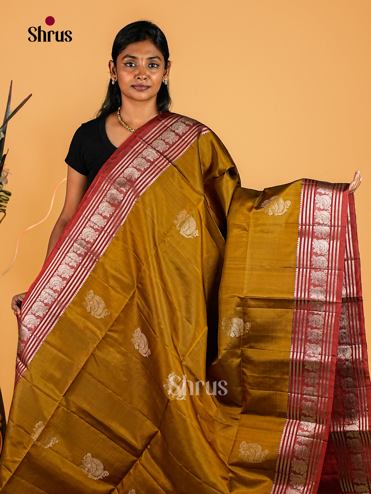 Soft Silk Saree - EI23186