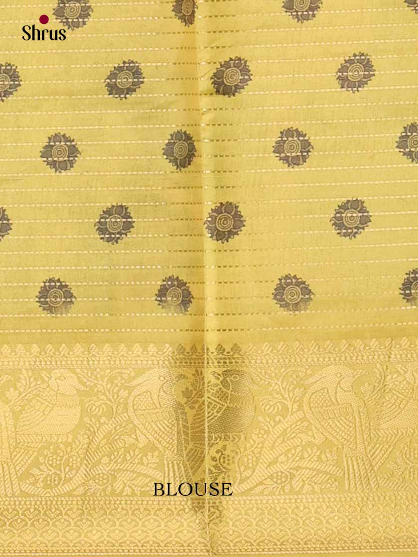 Semi Tussar Saree - EI24006