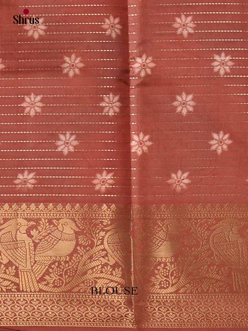 Semi Tussar Saree - EI24198