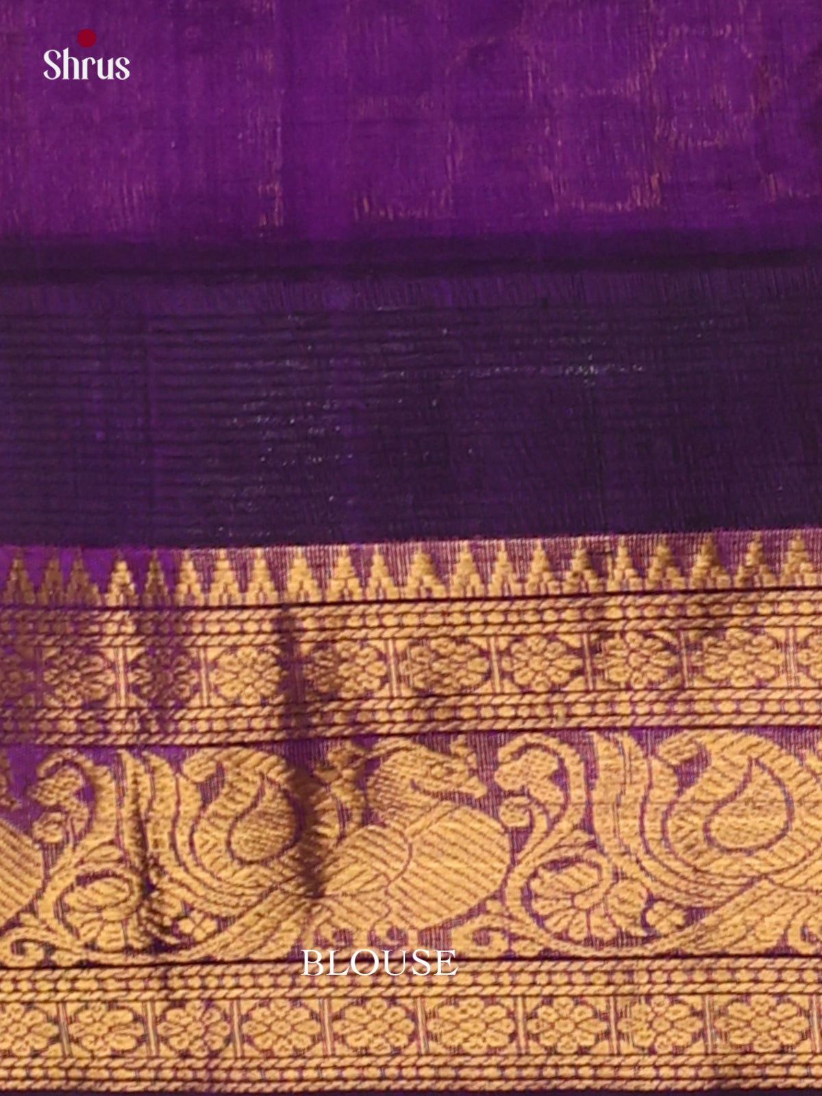 Silk Cotton Saree - EI30008