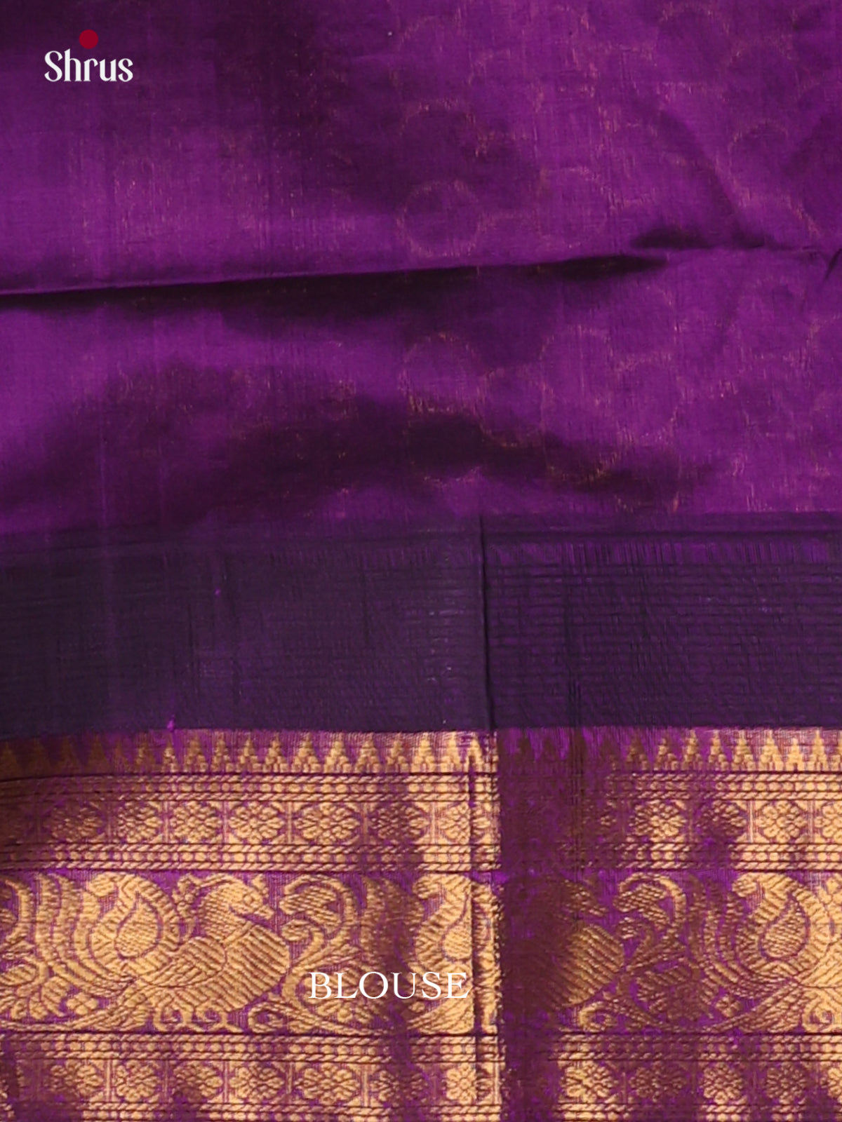 Silk Cotton Saree - EI30009