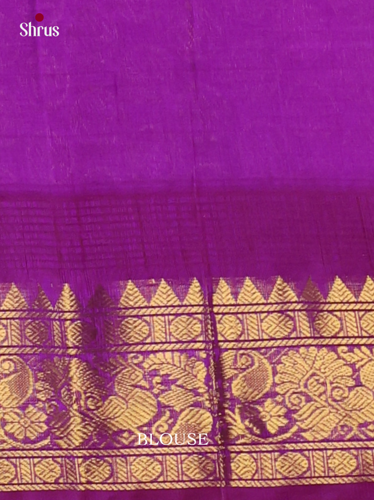 Silk Cotton Saree - EI30023