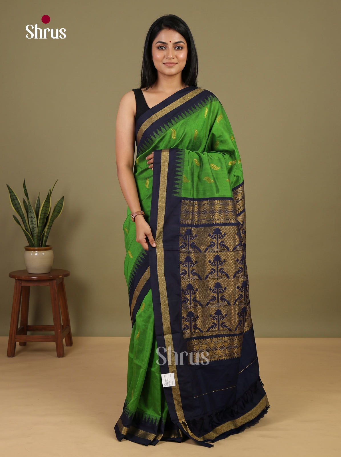 Kalyani Cotton Saree - EI30173