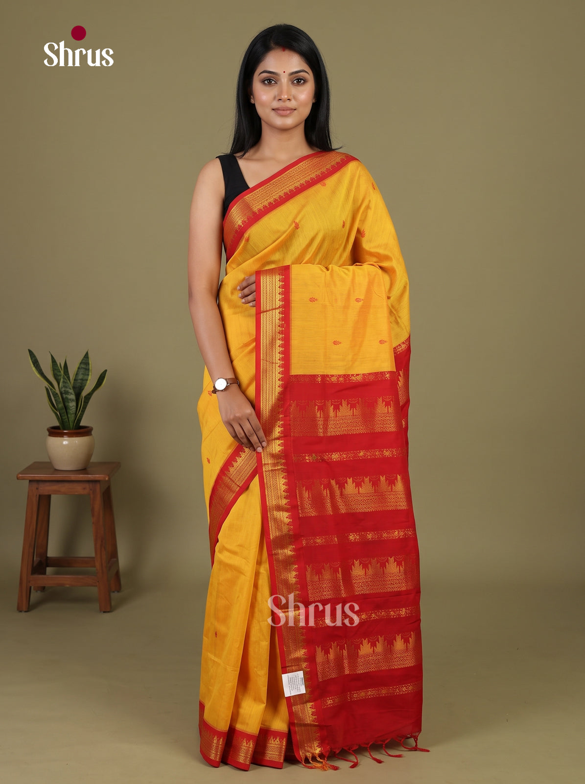 Kalyani Cotton Saree - EI30176