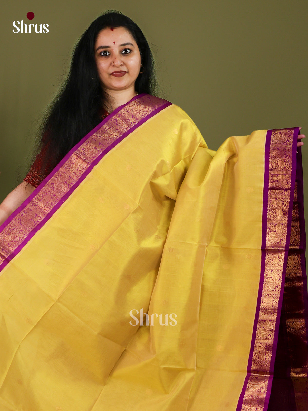 Silk Cotton Saree - EJ01002