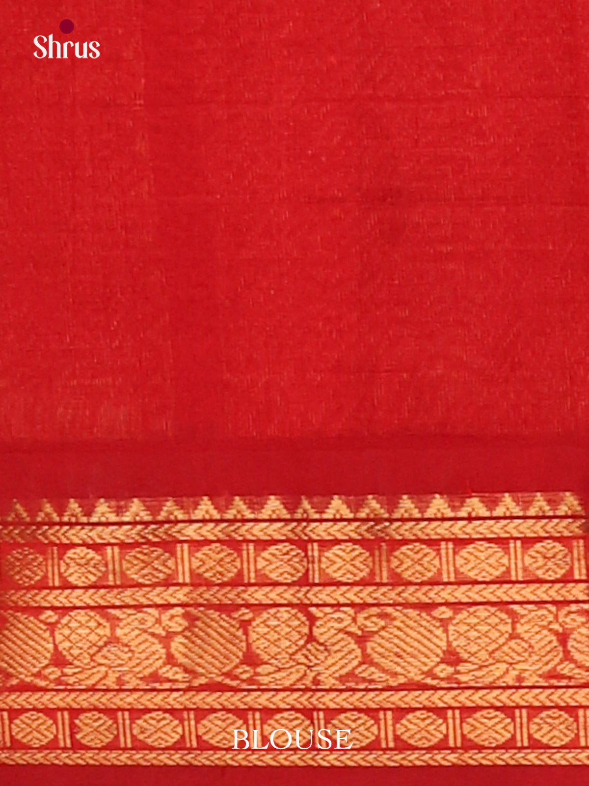Silk Cotton Saree - EJ01003