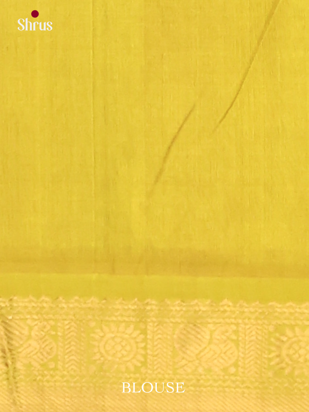 Silk Cotton Saree - EJ01004