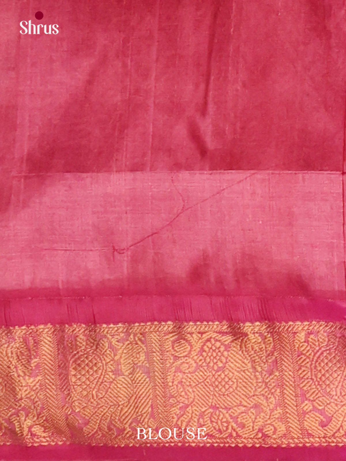 Silk Cotton Saree - EJ01010
