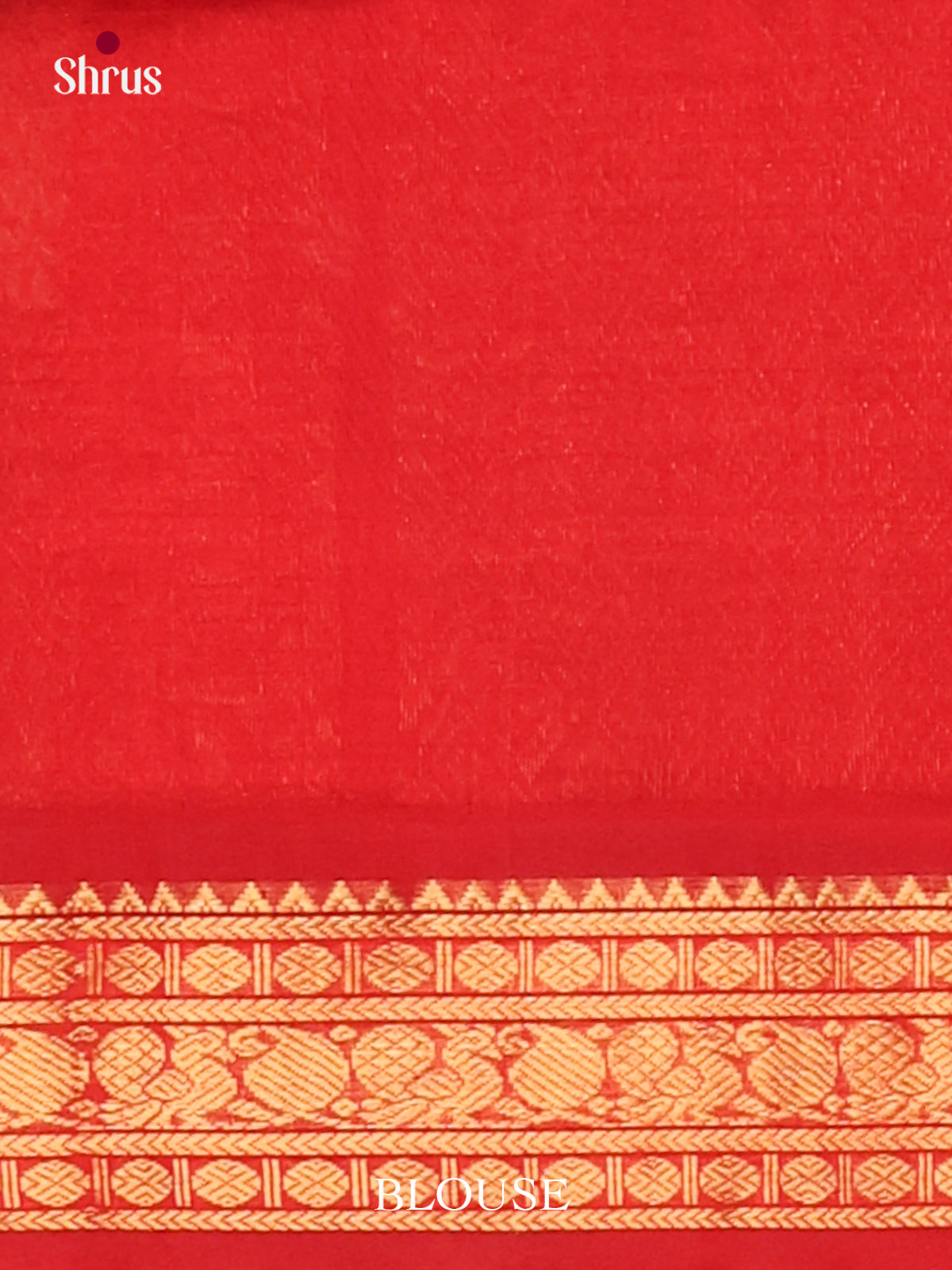 Silk Cotton Saree - EJ01013