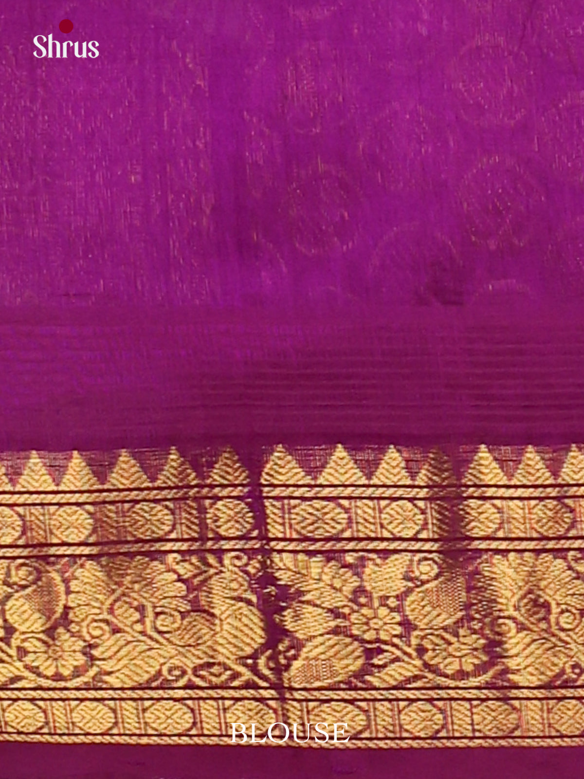 Silk Cotton Saree - EJ01016