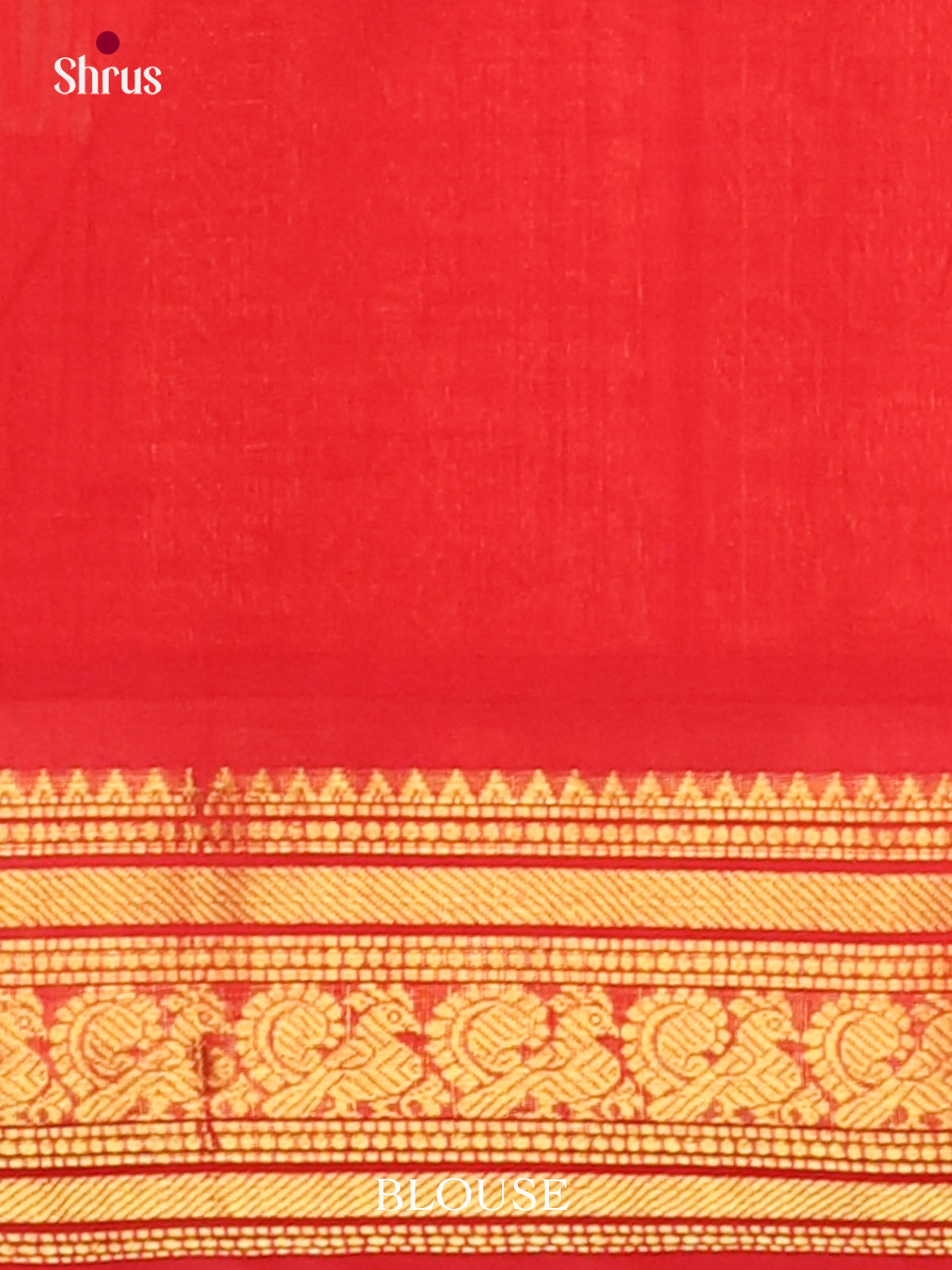 Silk Cotton Saree - EJ01018