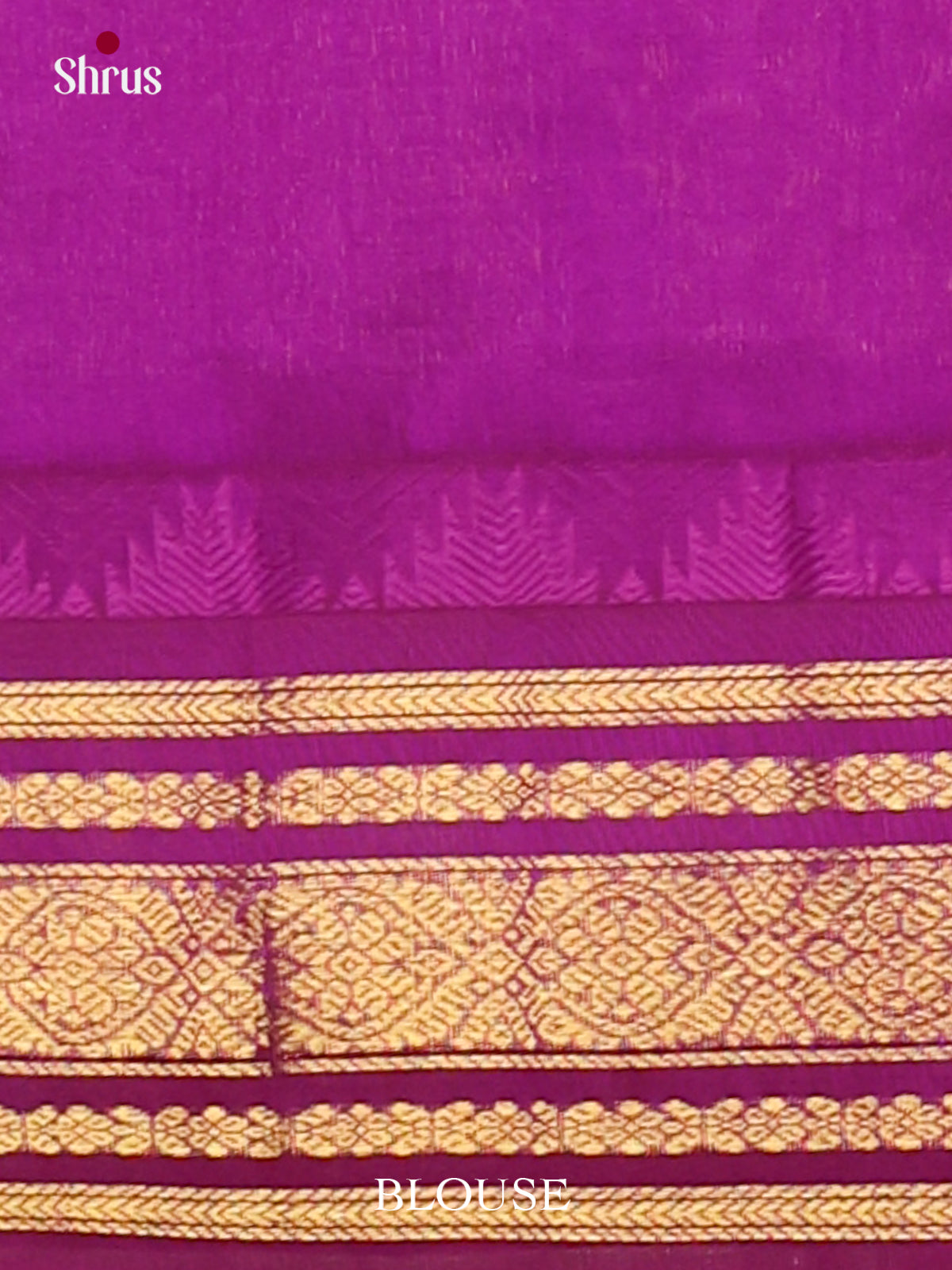 Silk Cotton Saree - EJ01019