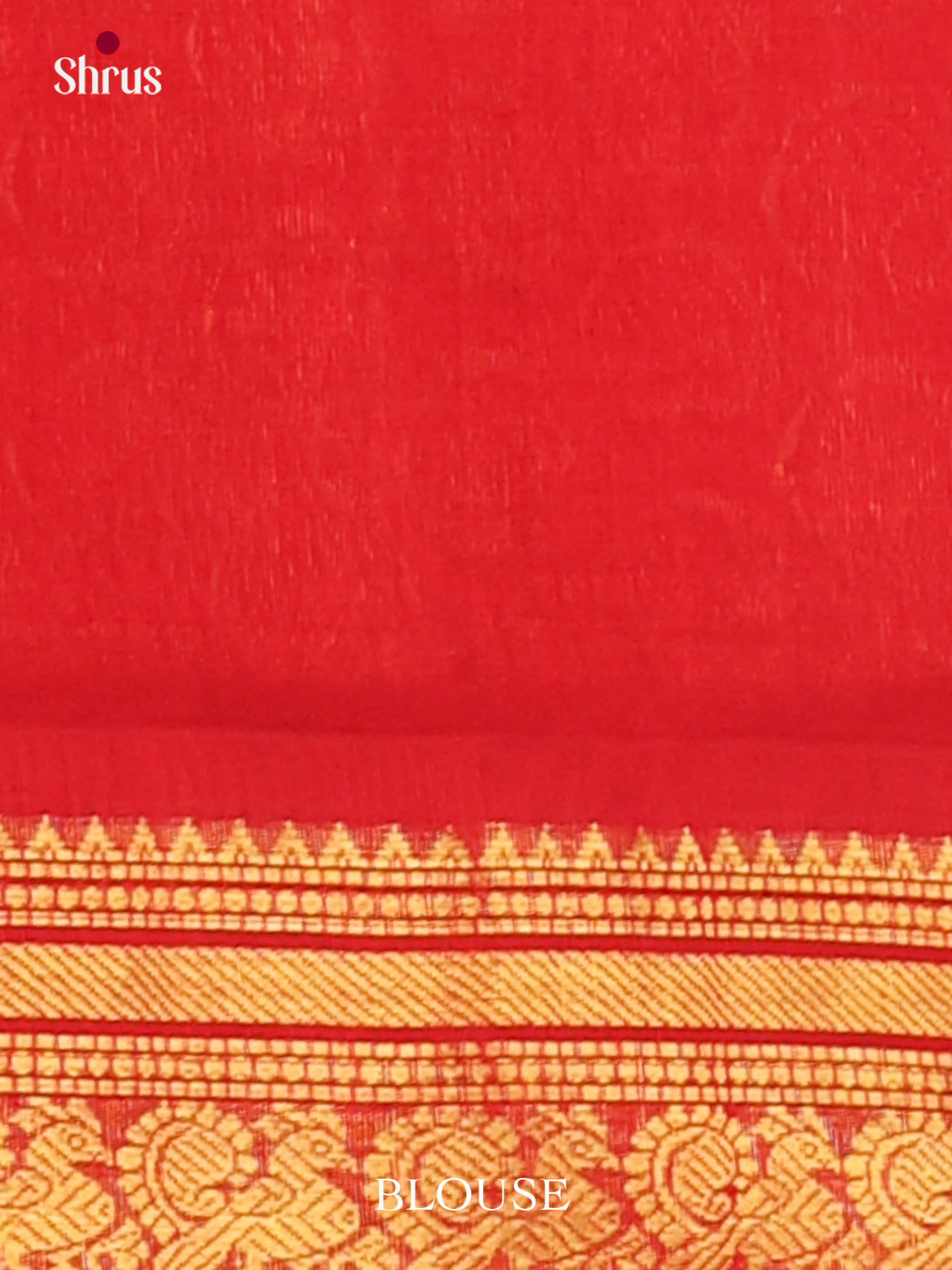 Silk Cotton Saree - EJ01020