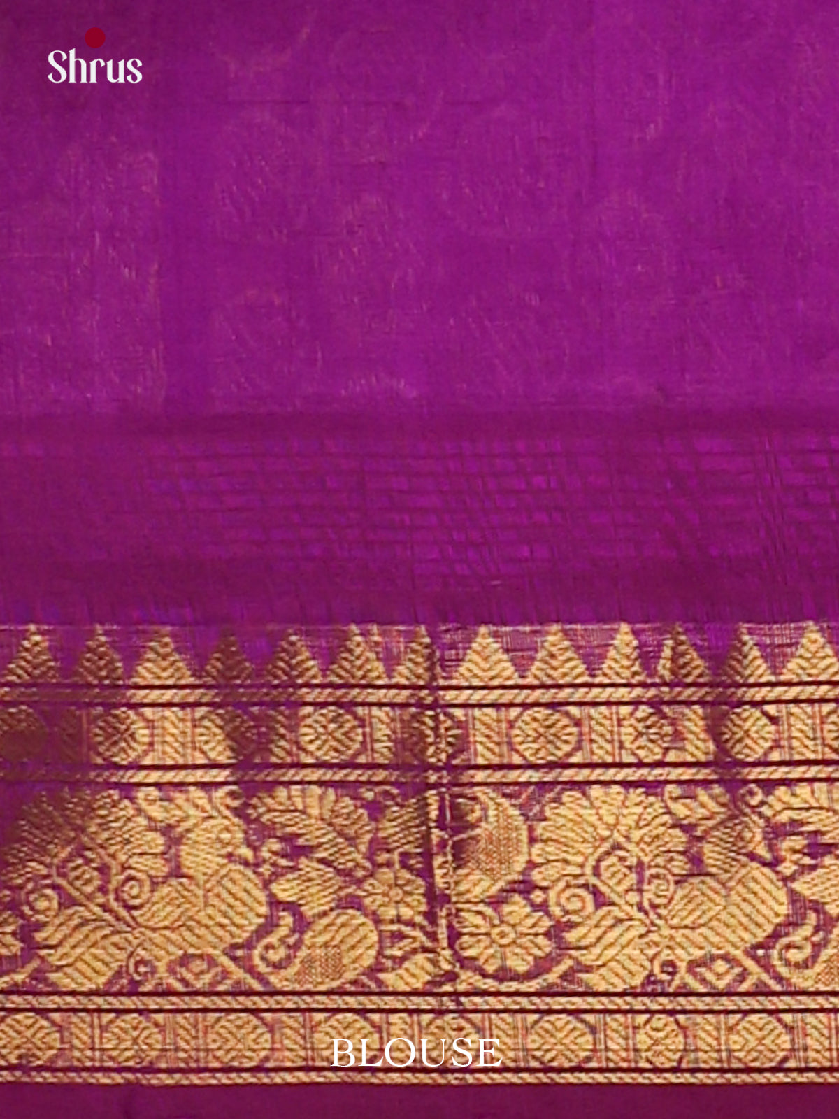Silk Cotton Saree - EJ01023