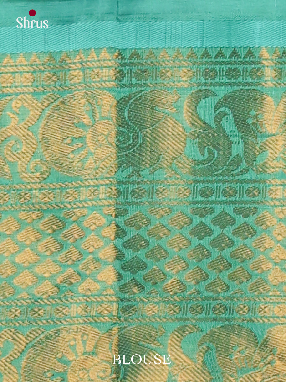 Silk Cotton Saree - EJ01029