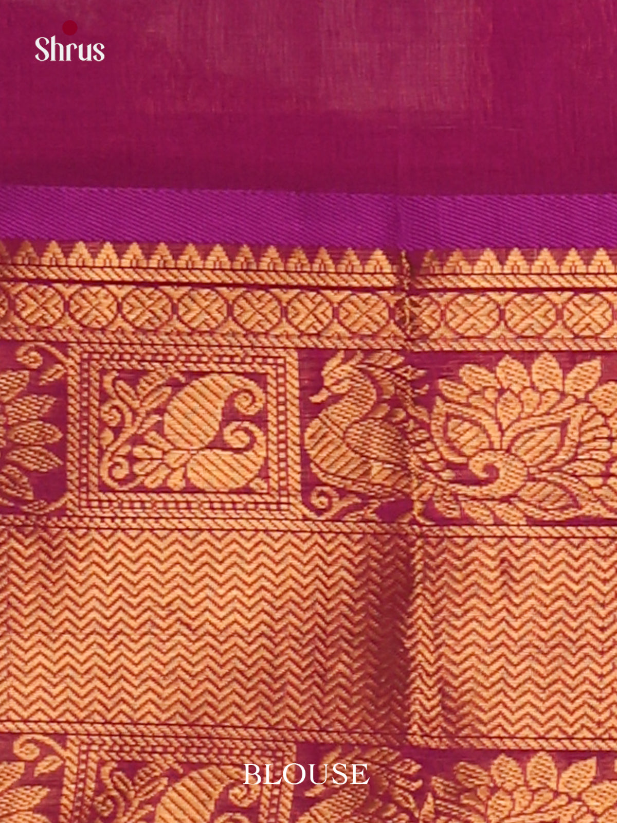 Silk Cotton Saree - EJ01030