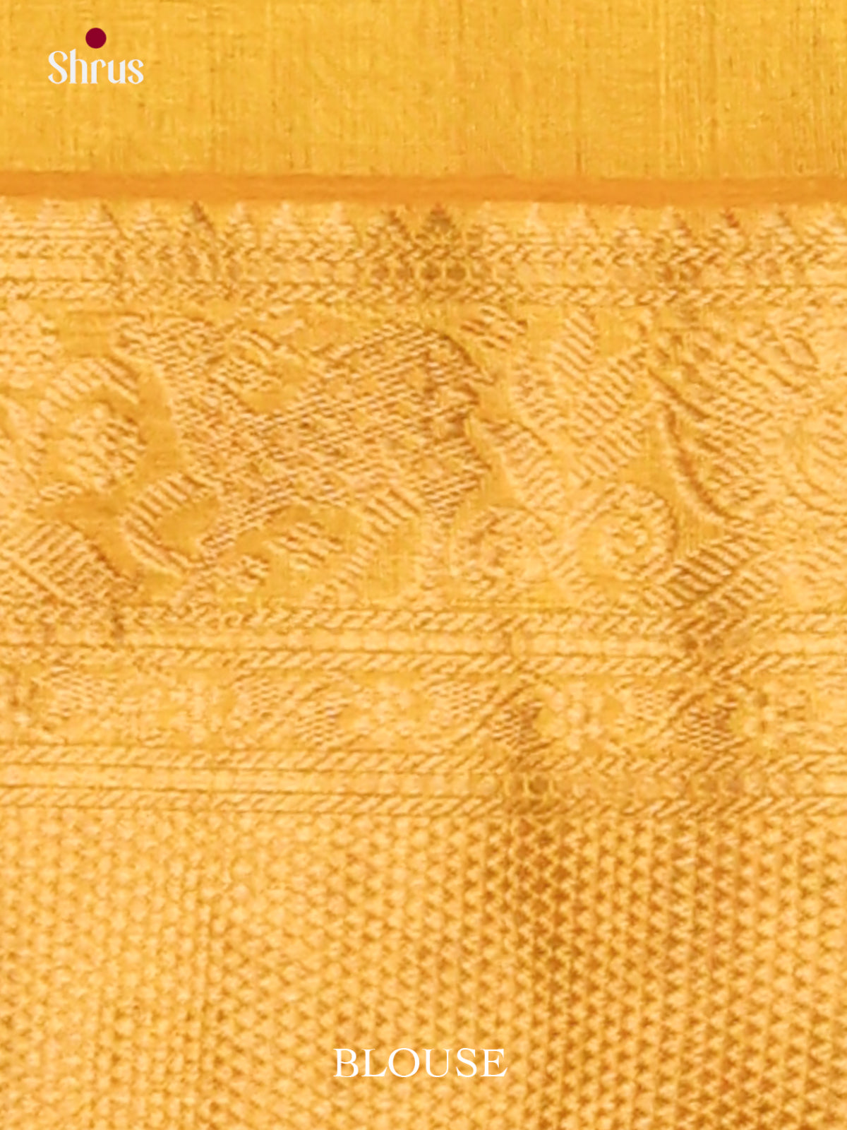 Silk Cotton Saree - EJ01034