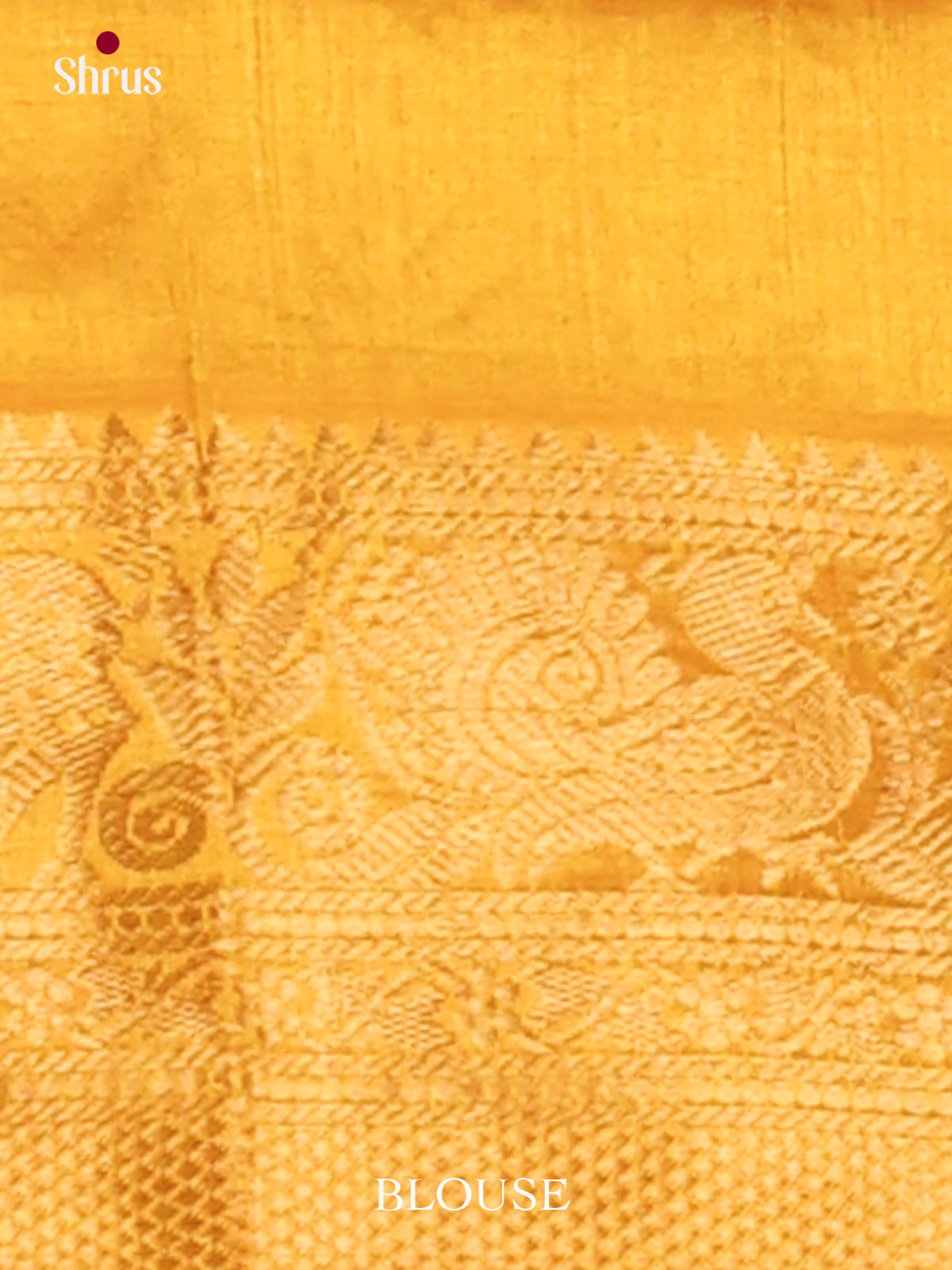 Silk Cotton Saree - EJ01039