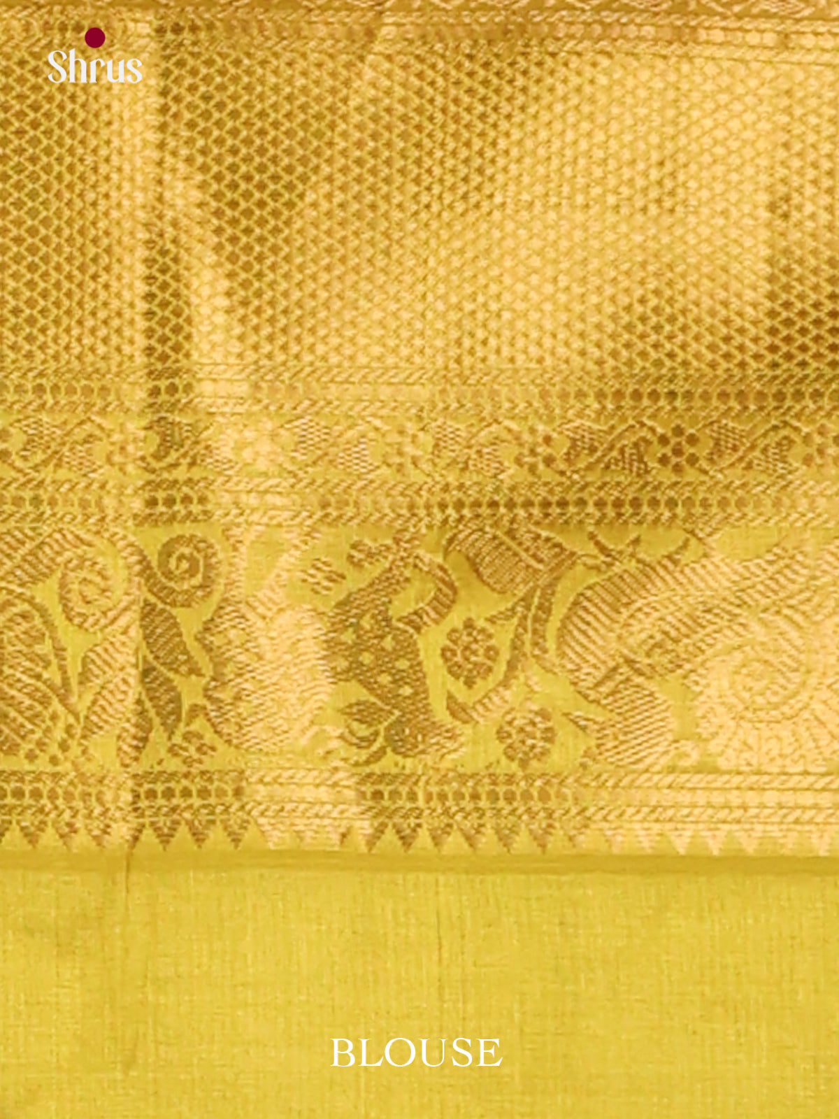 Silk Cotton Saree - EJ01040