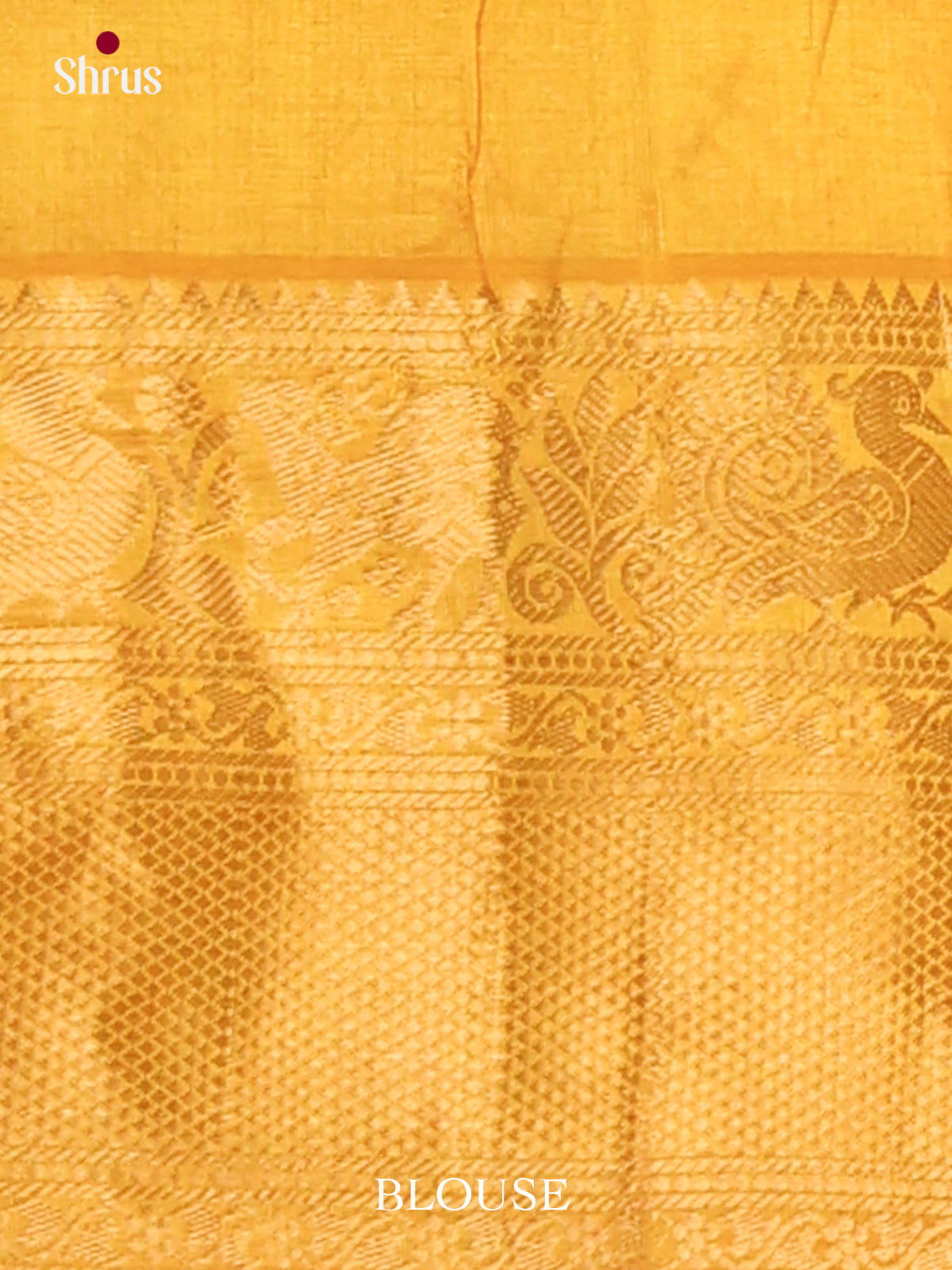 Silk Cotton Saree - EJ01048