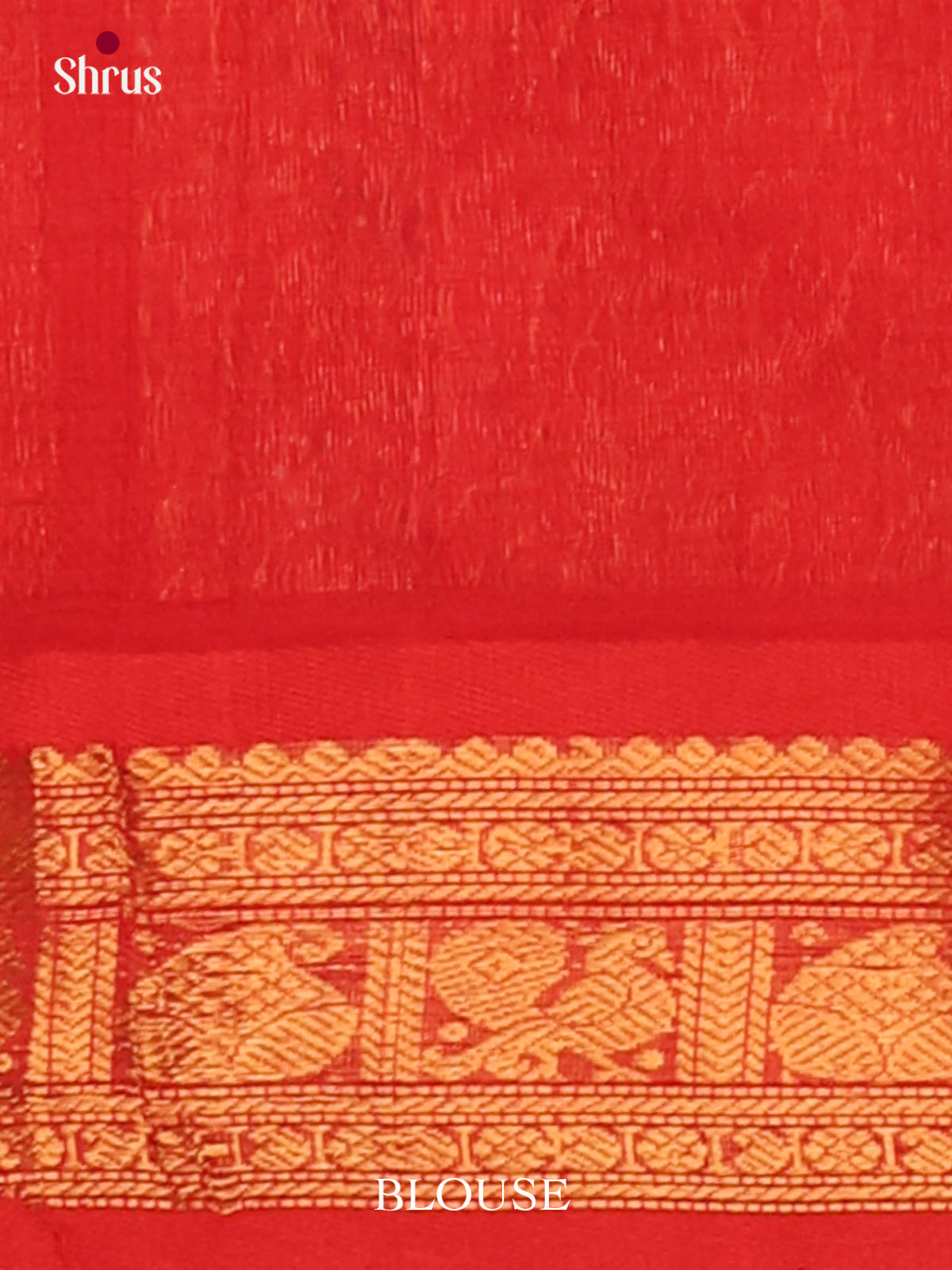 Silk Cotton Saree - EJ01052