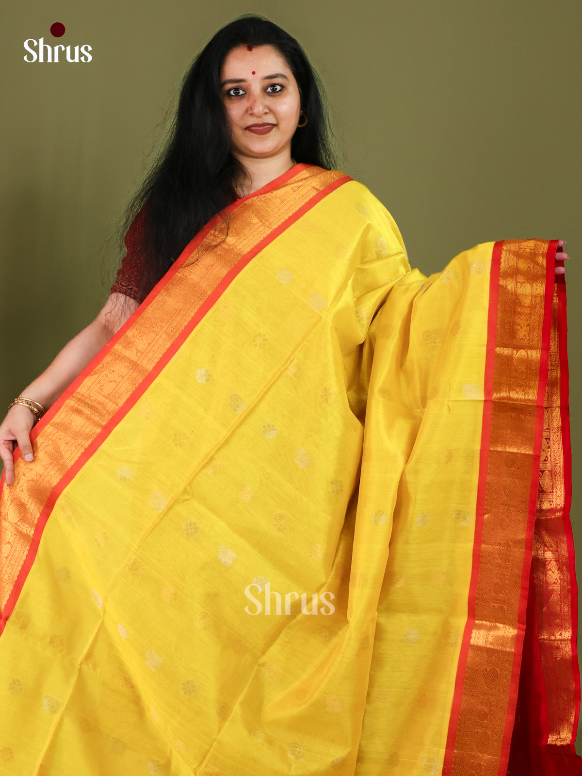 Silk Cotton Saree - EJ01053