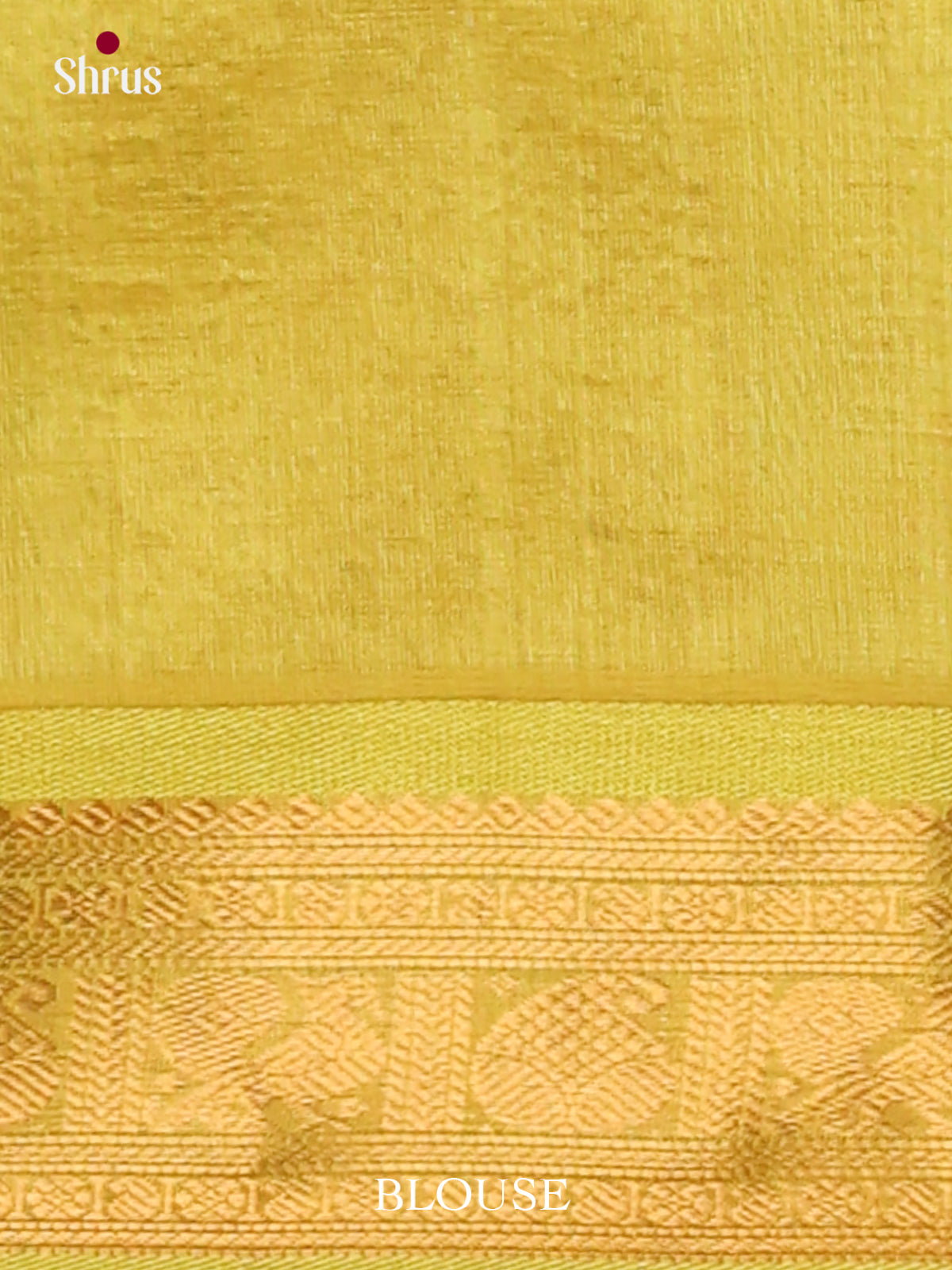 Silk Cotton Saree - EJ01055