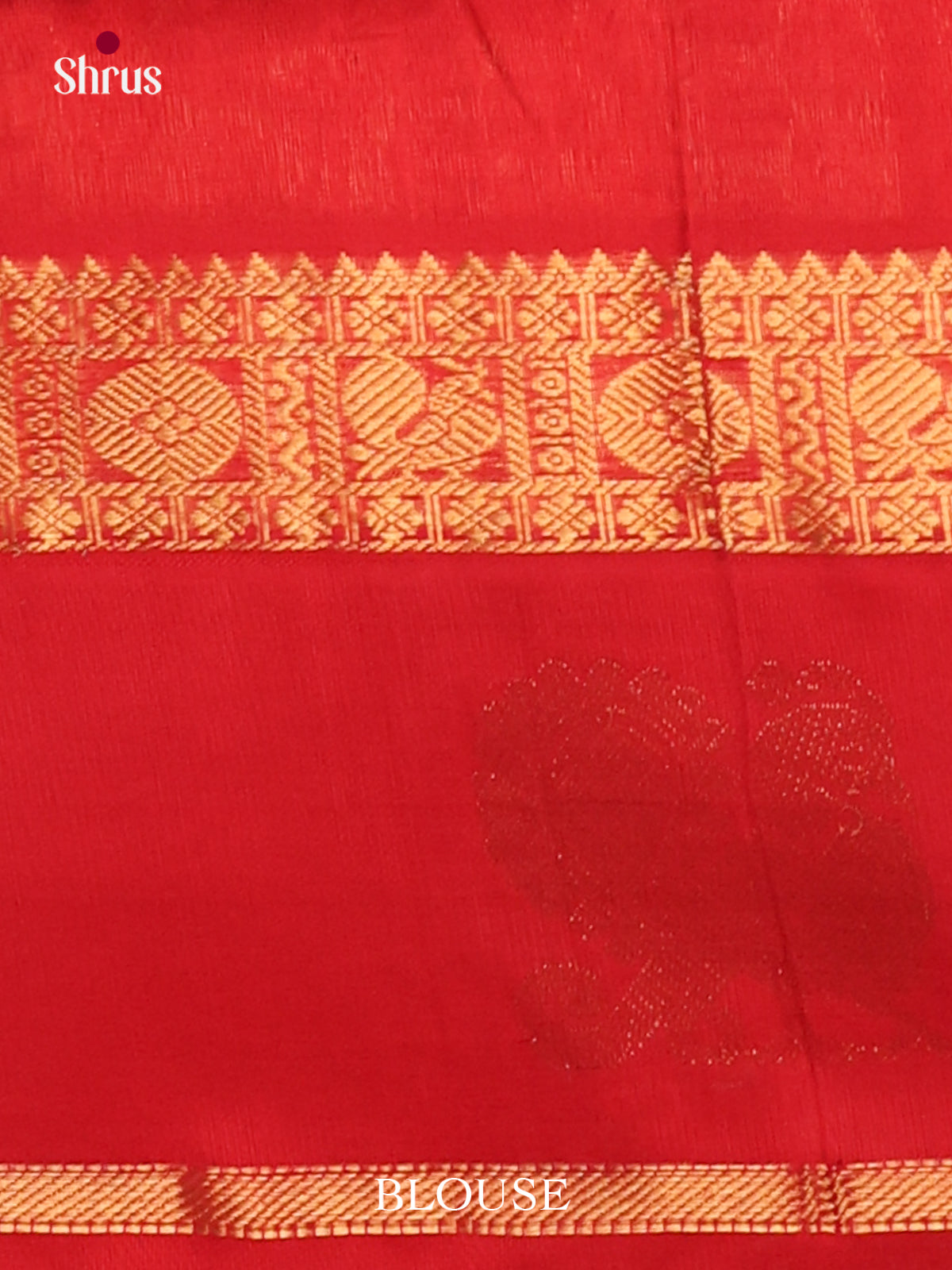 Silk Cotton Saree - EJ01063