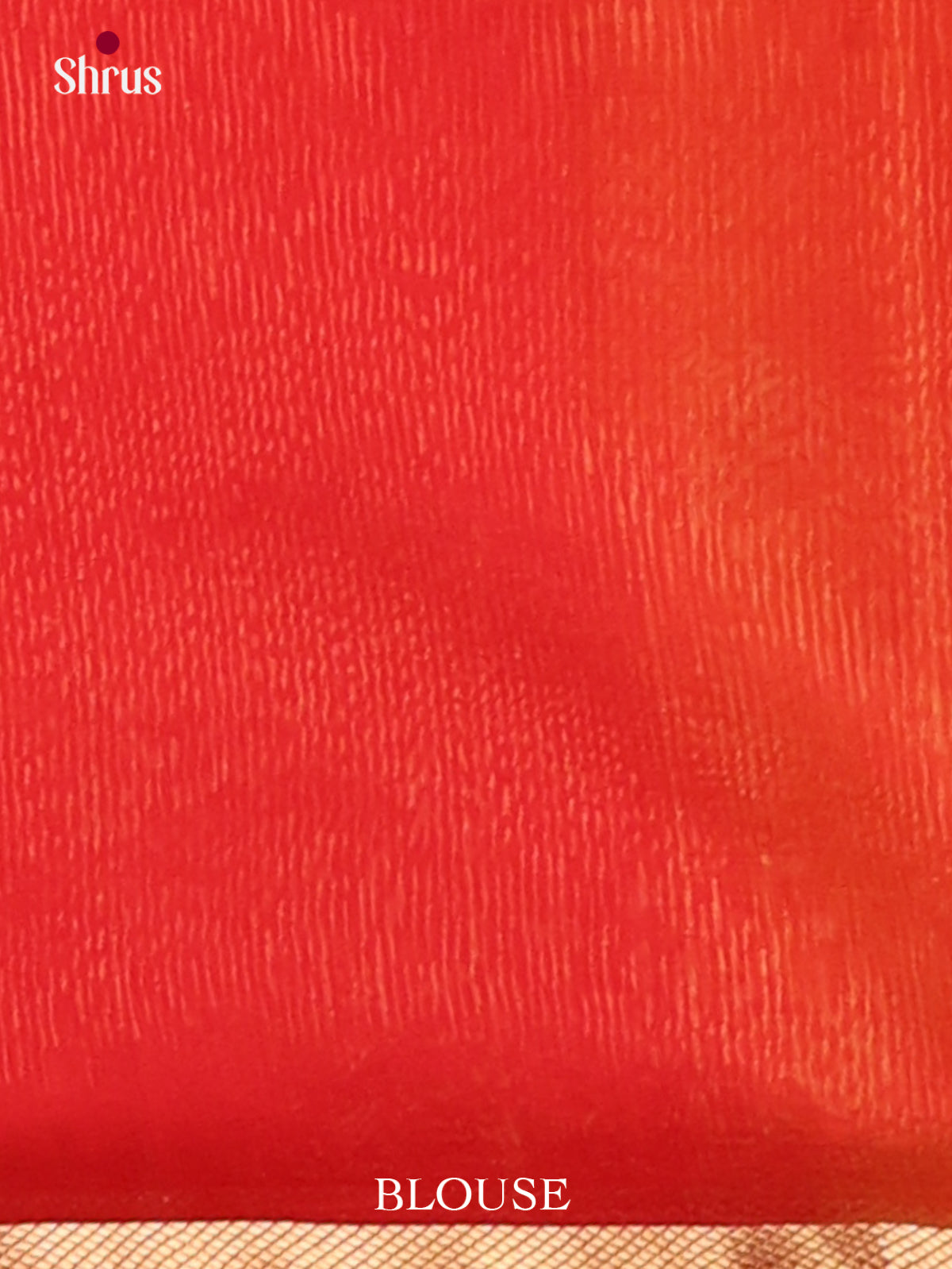 Maheshwari silkcotton Saree - EJ03048