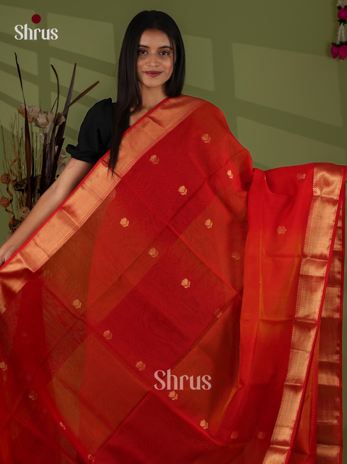 Maheshwari silkcotton Saree - EJ03081