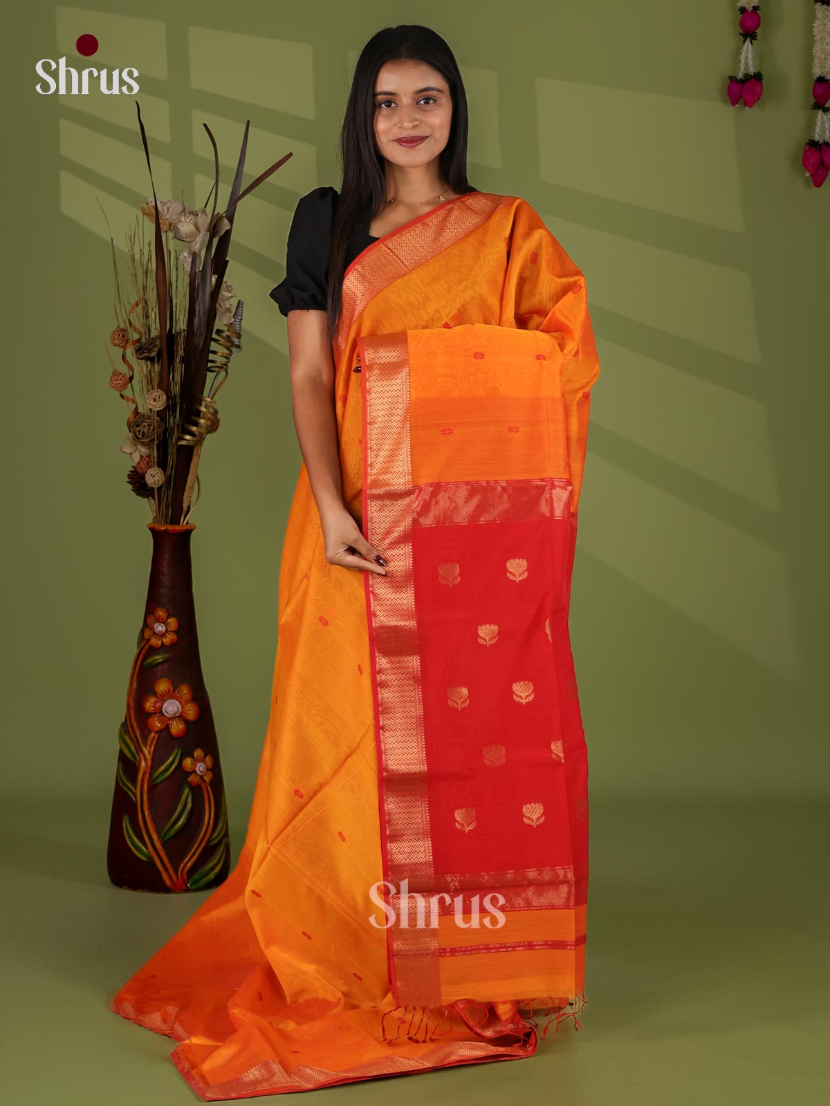 Maheshwari silkcotton Saree - EJ03103